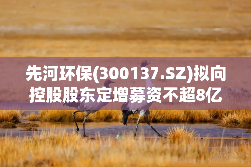 先河环保(300137.SZ)拟向控股股东定增募资不超8亿元 用于补充流动资金