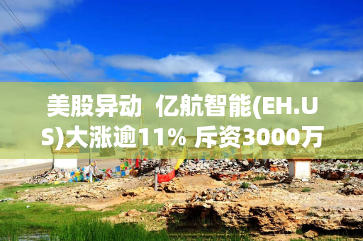 美股异动  亿航智能(EH.US)大涨逾11% 斥资3000万美元回购股票