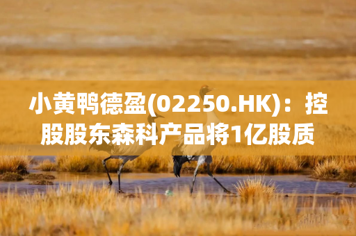 小黄鸭德盈(02250.HK)：控股股东森科产品将1亿股质押予Aurex Nordic Capital