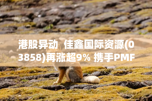 港股异动  佳鑫国际资源(03858)再涨超9% 携手PMF开发哈萨克斯坦矿产资源 钨市场近期有所回暖