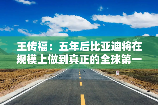 王传福：五年后比亚迪将在规模上做到真正的全球第一