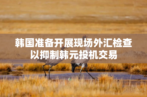 韩国准备开展现场外汇检查以抑制韩元投机交易