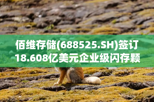 佰维存储(688525.SH)签订18.608亿美元企业级闪存颗粒采购合同