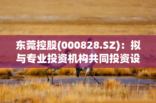 东莞控股(000828.SZ)：拟与专业投资机构共同投资设立产业基金