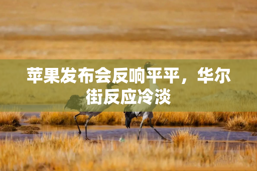 苹果发布会反响平平，华尔街反应冷淡