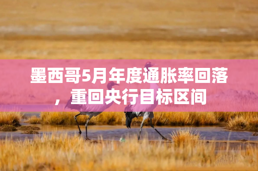 墨西哥5月年度通胀率回落,重回央行目标区间 墨西哥5月年度通胀率回落,重回央行目标区间
