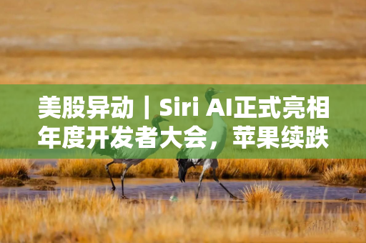 美股异动｜Siri AI正式亮相年度开发者大会，苹果续跌超3%