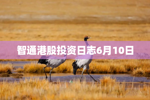 智通港股投资日志6月10日