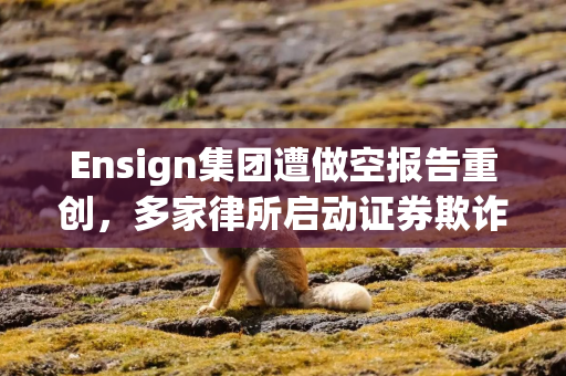 Ensign集团遭做空报告重创,多家律所启动证券欺诈调查 Ensign集团遭做空报告重创,多家律所启动证券欺诈调查