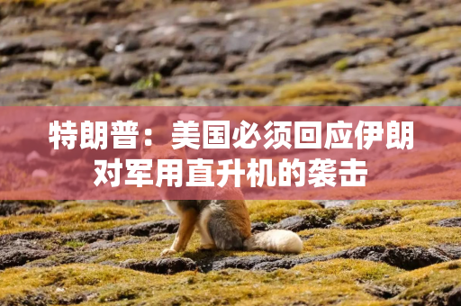 特朗普：美国必须回应伊朗对军用直升机的袭击