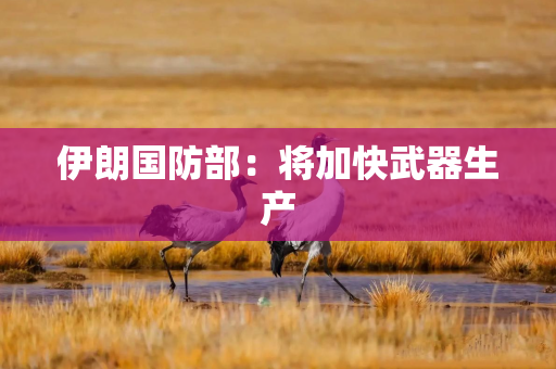 伊朗国防部：将加快武器生产