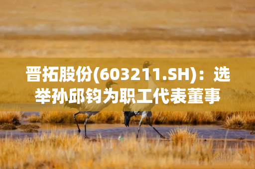 晋拓股份(603211.SH)：选举孙邱钧为职工代表董事