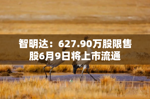 智明达：627.90万股限售股6月9日将上市流通