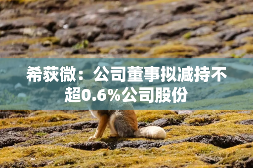 希荻微：公司董事拟减持不超0.6%公司股份