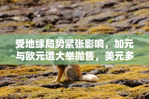 受地缘局势紧张影响，加元与欧元遭大举抛售，美元多头再度发力
