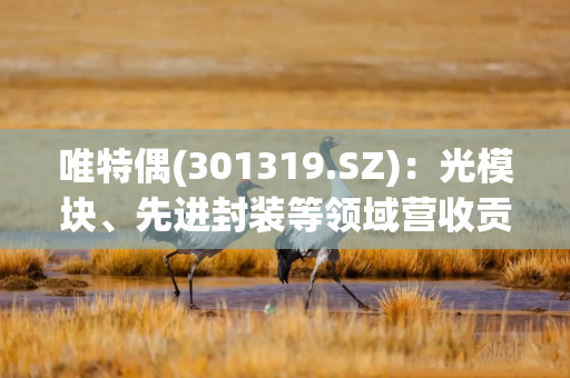 唯特偶(301319.SZ)：光模块、先进封装等领域营收贡献尚处于较低水平 不会对公司业绩产生重大影响