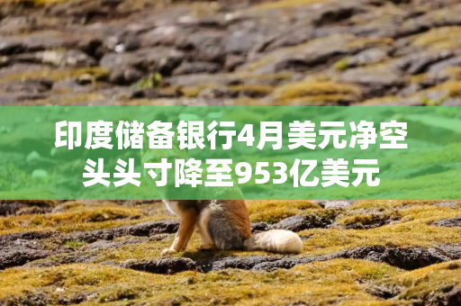 印度储备银行4月美元净空头头寸降至953亿美元