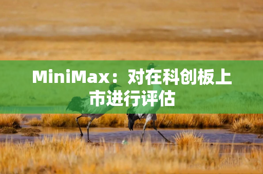 MiniMax：对在科创板上市进行评估