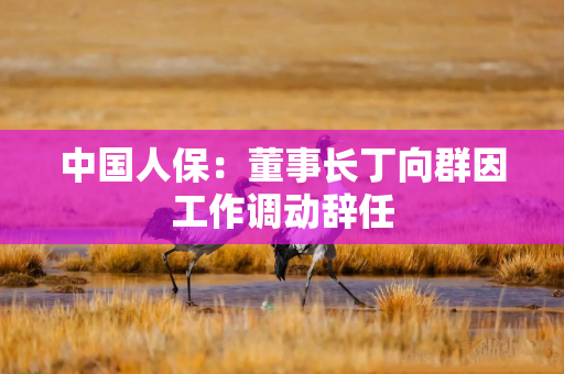 中国人保：董事长丁向群因工作调动辞任