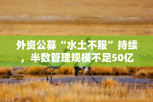 外资公募“水土不服”持续，半数管理规模不足50亿