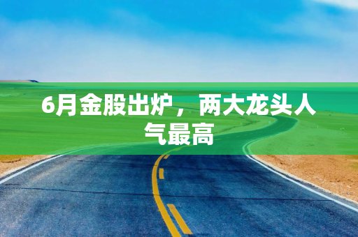 6月金股出炉，两大龙头人气最高