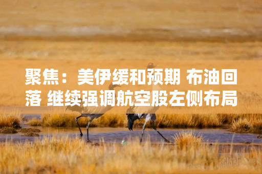 聚焦：美伊缓和预期 布油回落 继续强调航空股左侧布局窗口