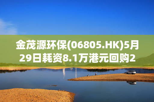 金茂源环保(06805.HK)5月29日耗资8.1万港元回购2.4万股