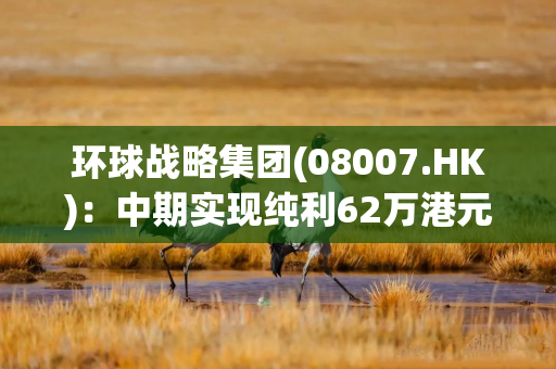 环球战略集团(08007.HK)：中期实现纯利62万港元 扭亏为盈