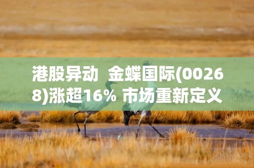 港股异动  金蝶国际(00268)涨超16% 市场重新定义AI赋能软件行业 公司商业化落地加速