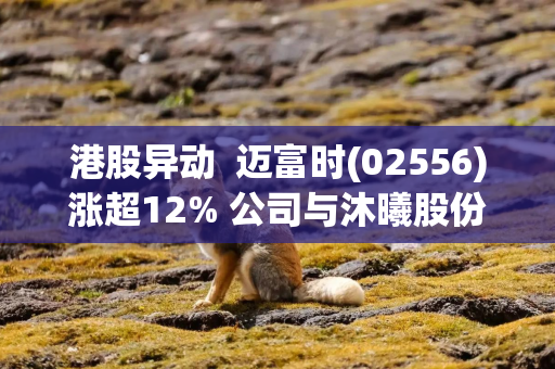 港股异动  迈富时(02556)涨超12% 公司与沐曦股份共同推进国产GPU与企业智能体融合落地