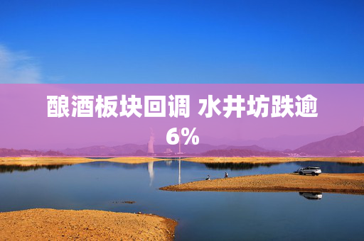 酿酒板块回调 水井坊跌逾6%