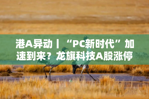 港A异动丨“PC新时代”加速到来?龙旗科技A股涨停,H股飙升近19% 港A异动丨“PC新时代”加速到来?龙旗科技A股涨停,H股飙升近19%