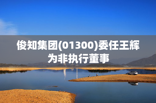 俊知集团(01300)委任王辉为非执行董事