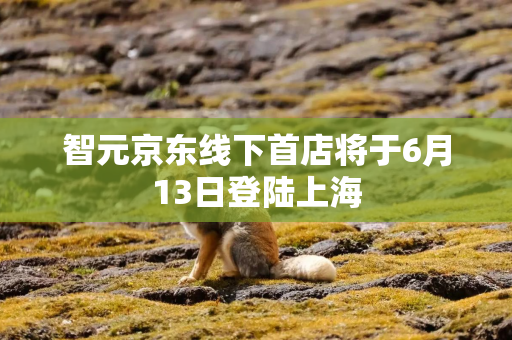 智元京东线下首店将于6月13日登陆上海