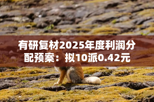 有研复材2025年度利润分配预案：拟10派0.42元