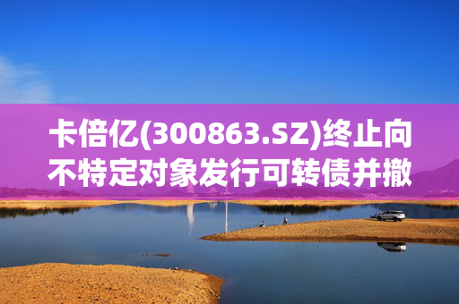 卡倍亿(300863.SZ)终止向不特定对象发行可转债并撤回申请文件