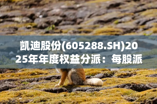 凯迪股份(605288.SH)2025年年度权益分派：每股派利0.74元