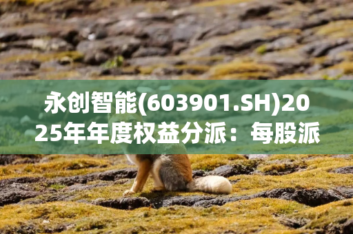 永创智能(603901.SH)2025年年度权益分派：每股派利0.08元