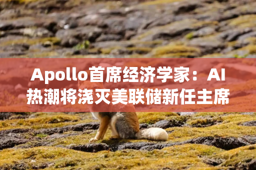 Apollo首席经济学家：AI热潮将浇灭美联储新任主席沃什快速降息的希望