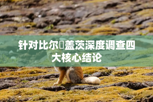 针对比尔・盖茨深度调查四大核心结论