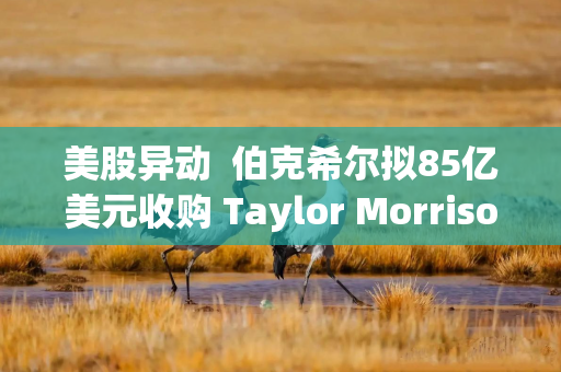 美股异动  伯克希尔拟85亿美元收购 Taylor Morrison(TMHC.US)早盘暴涨超20%