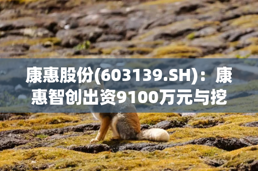 康惠股份(603139.SH)：康惠智创出资9100万元与挖金客共同设立北京惠金