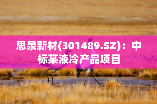 思泉新材(301489.SZ)：中标某液冷产品项目