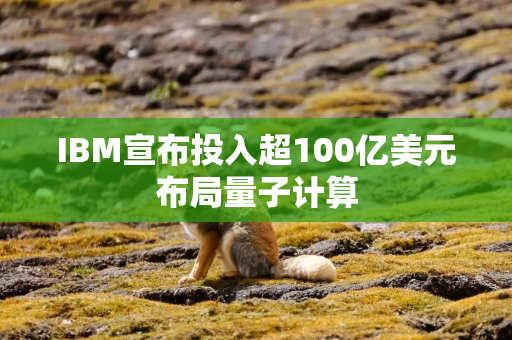 IBM宣布投入超100亿美元布局量子计算