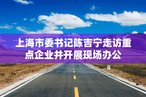 上海市委书记陈吉宁走访重点企业并开展现场办公