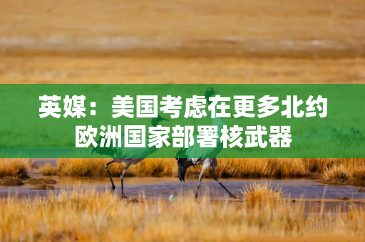 英媒：美国考虑在更多北约欧洲国家部署核武器