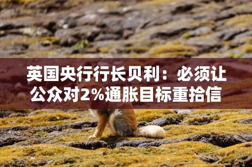 英国央行行长贝利：必须让公众对2%通胀目标重拾信心