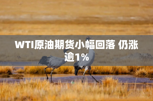 WTI原油期货小幅回落 仍涨逾1%