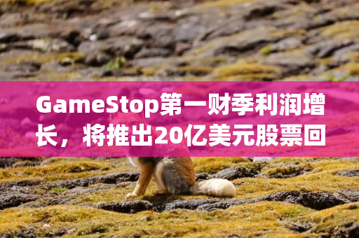 GameStop第一财季利润增长，将推出20亿美元股票回购计划