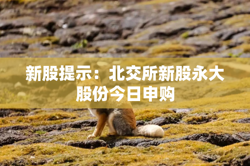 新股提示：北交所新股永大股份今日申购